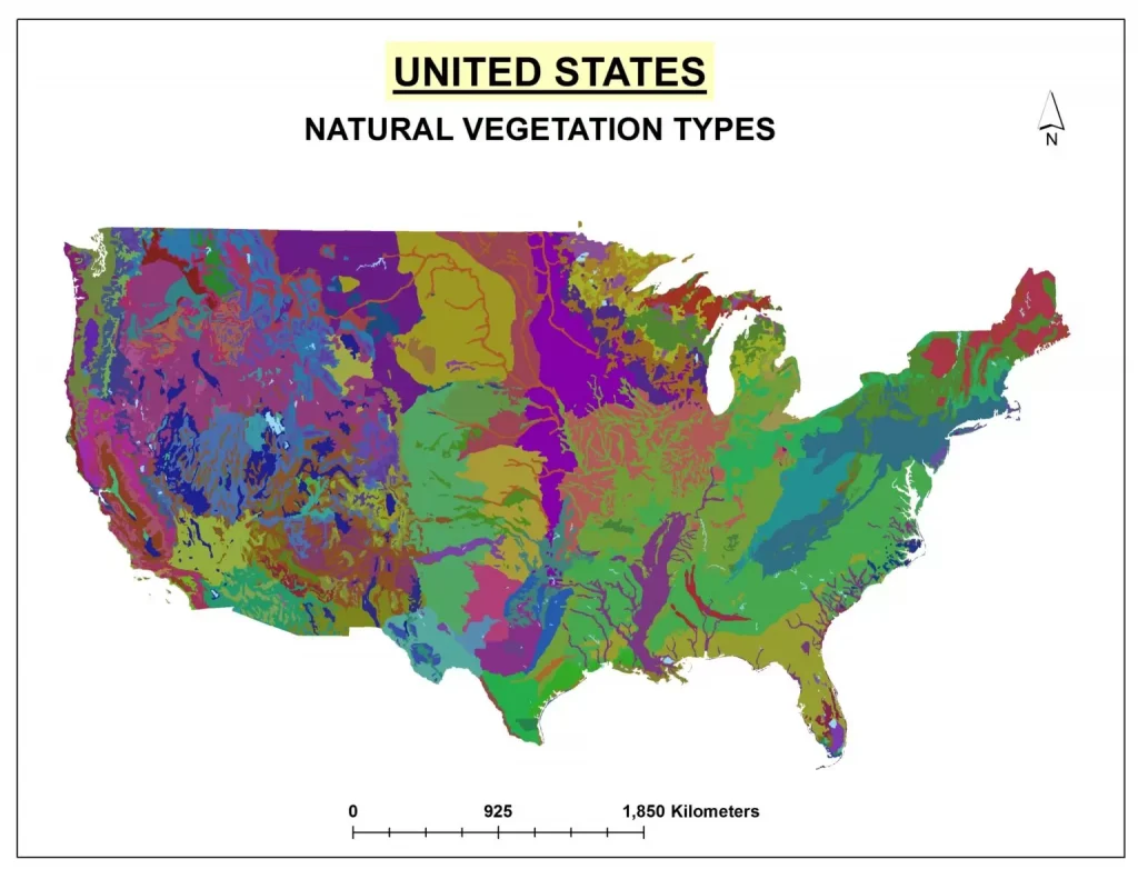 US Natural Vegetation Types Map -